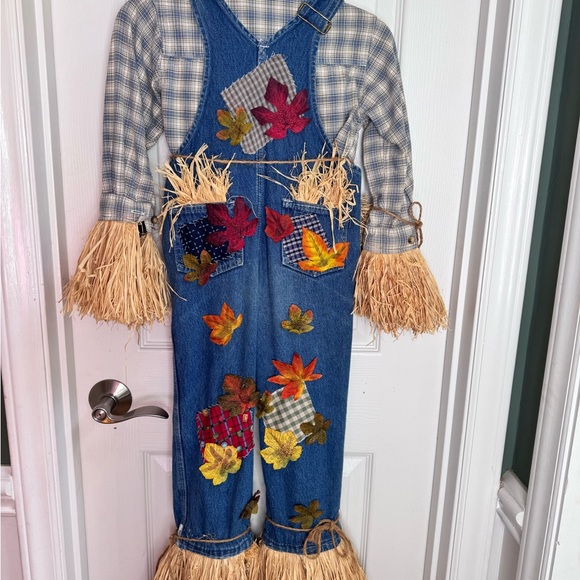 Custom-Made Scarecrow Costume - 3T/4T - Picture 7 of 7